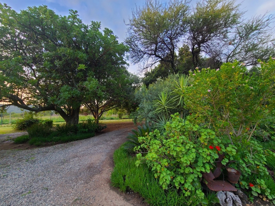 5 Bedroom Property for Sale in Mooinooi North West